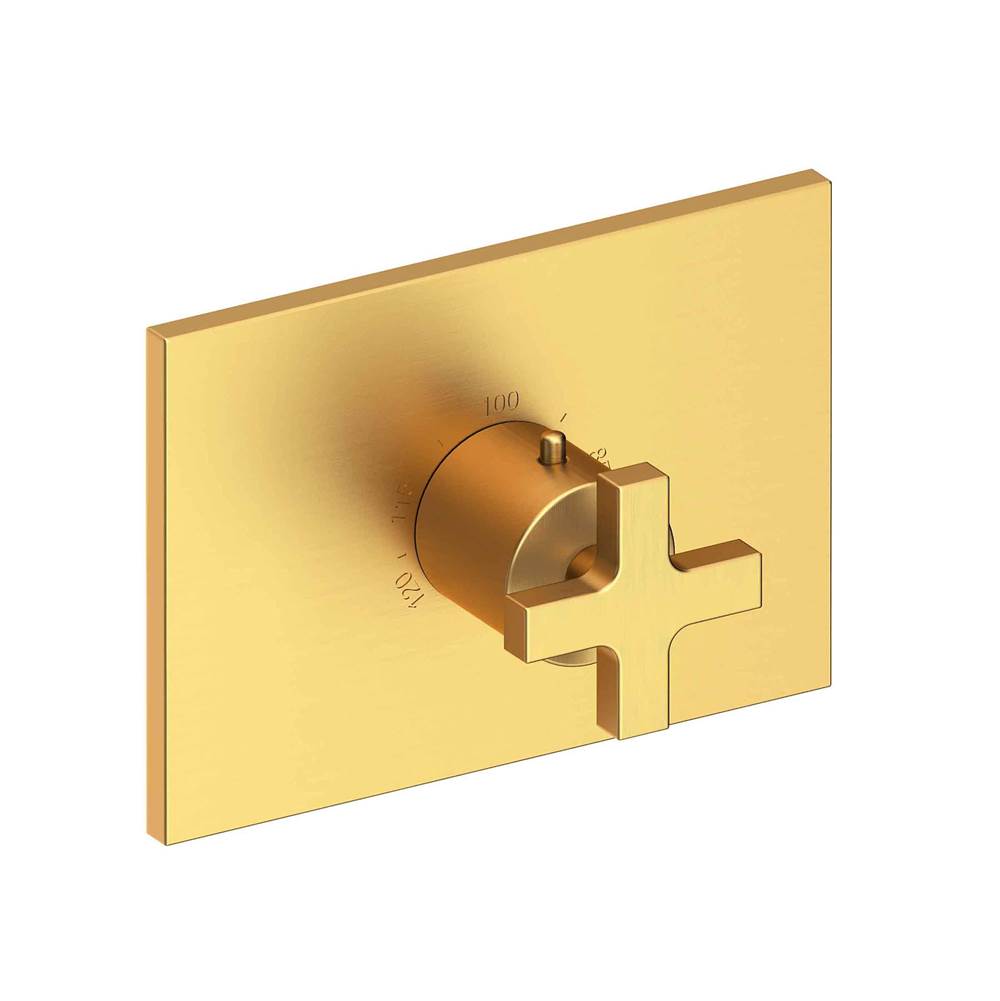 Newport Brass Secant 3/4'' Rectangular Thermostatic Trim Plate with Handle