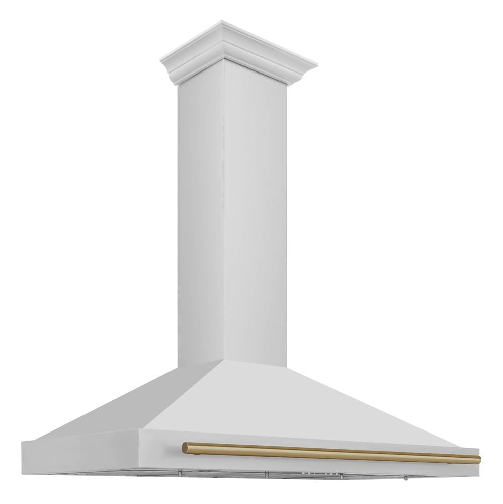 Z-Line 48'' Autograph Edition Stainless Steel Range Hood with Stainless Steel Shell and Champagne Bronze Accents