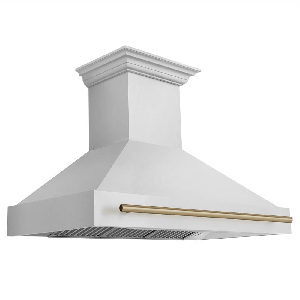 Z-Line 48''  Autograph Edition Stainless Steel Range Hood with Stainless Steel Shell and Champagne Bronze Handle